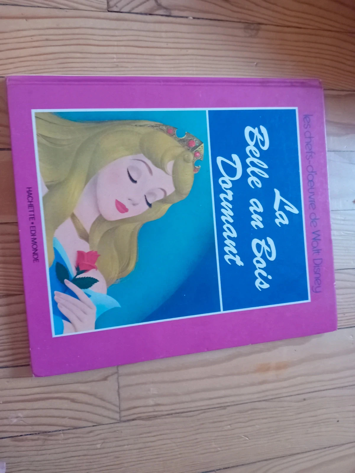 Lot d'album Disney – photo 10